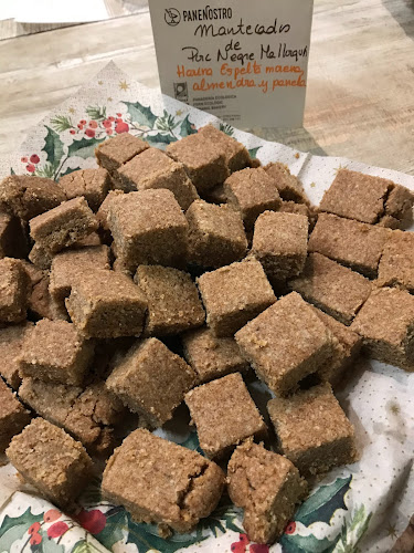 Comentarii opinii despre PaneNostro