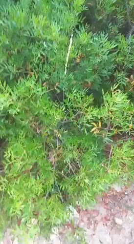 Comentarii opinii despre Tabares Bar Musical