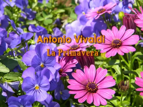 Reviews of Cañada Real Restaurante in Quintana de la Serena - Gastronomía y hostelería