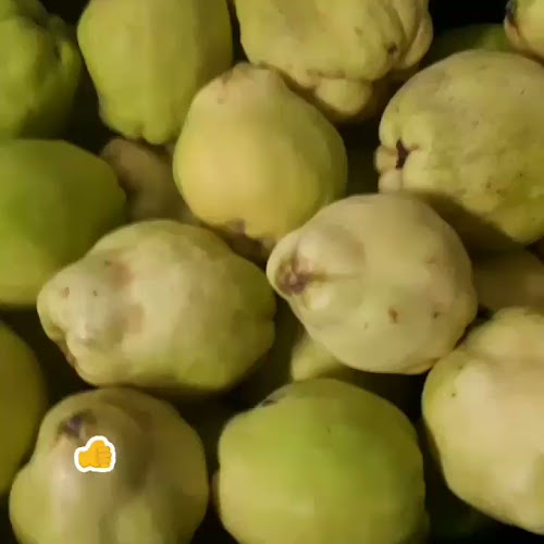 Montse - Gastronomía y hostelería