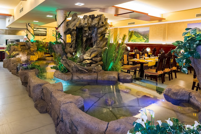 Comentarii opinii despre Restaurante Chino Feliz de Sabadell