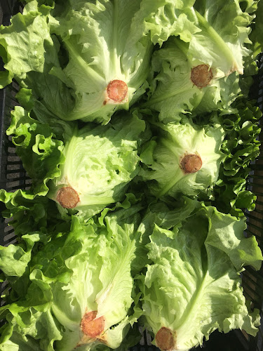 Restaurante Arima Phone number