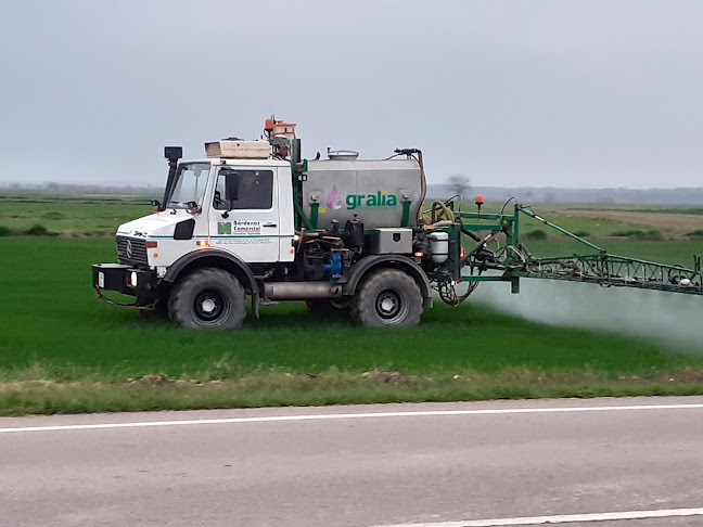 Comentarii opinii despre Bardenas Comercial SL