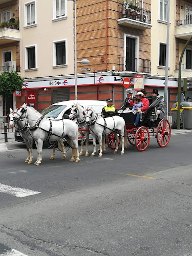 C. Virgen de Loreto, 24, 41011 Sevilla