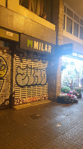 Monaco Shisha Lounge - Gastronomía y hostelería