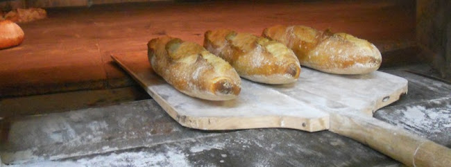 Panificadora Ntra. Sra. de Gracia S.L.