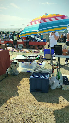 AutoCine. Mercadillo (los Domingos) de San Javier.