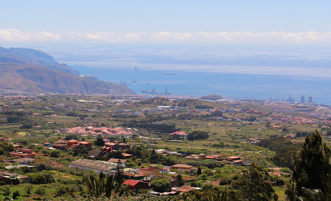 La Vieja Licorería Open Times