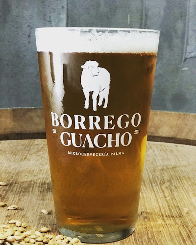 Borrego Guacho - MicroCervecería - Palma