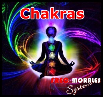 Passeig Colón, 34, 07458 Can Picafort, Illes Balears