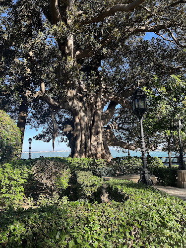 Reviews of Los Fogones de Silvia in Chiclana de la Frontera - Gastronomía y hostelería