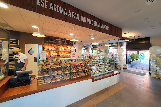 Cafetería SanTomás Open Times