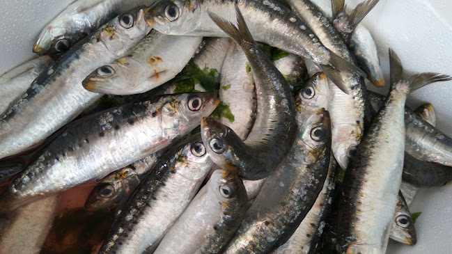 Opinii despre MERCADO MUNICIPAL DE CABO DE GATA în Cabo de Gata - Gastronomía y hostelería