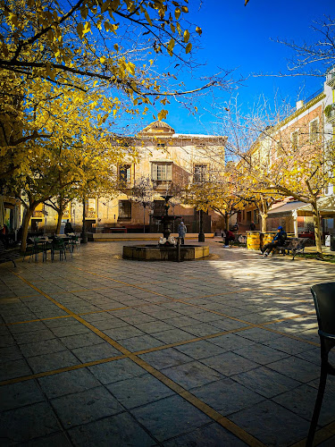 Comentarii opinii despre Mesón La Parrilla de San Vicente