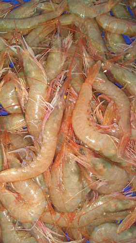 MERCADO MUNICIPAL DE CABO DE GATA - Cabo de Gata