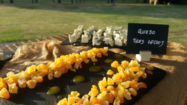 Comments and reviews of El Llagar de Castiello