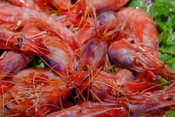 Comentarii opinii despre Restaurante La Barca del Salamanca