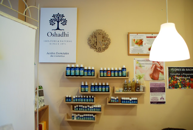 EL ARBOL DE LA VIDA ECOCENTRO - Zaragoza