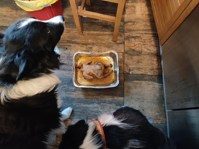 Opinii despre Bar Apolo XIII în Madrid - Gastronomía y hostelería