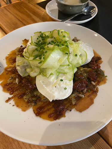 Bardero Phone number