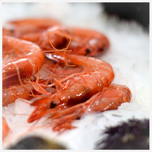 Comentarii opinii despre Ostrabar Valencia