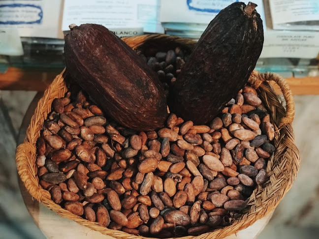 Chocolates Xoco & Vero (ciutat Vella y Mercado Central) - Gastronomía y hostelería