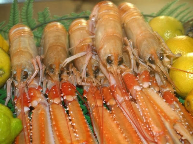 Opinii despre Marisquería Hermanos Álvarez în Madrid - Gastronomía y hostelería