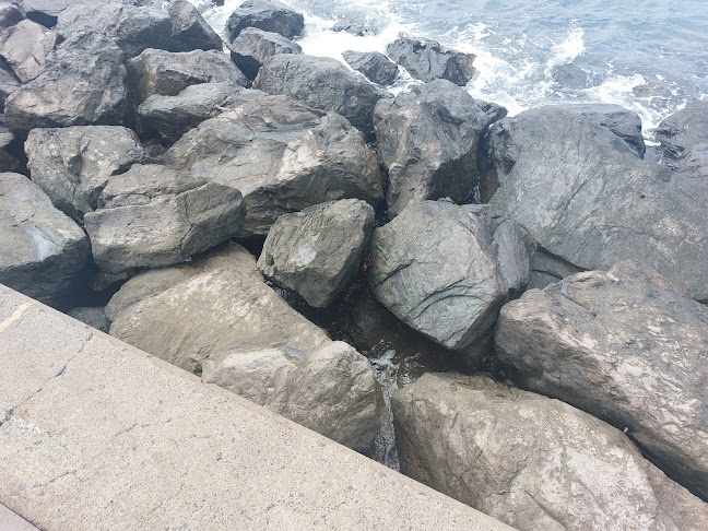 Café Bar El Muellito - Gastronomía y hostelería