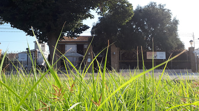 Comentarii opinii despre Lluna de València Restaurant