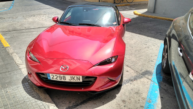 Café Bar La Bassa - Oliva