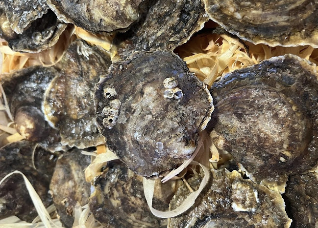 Comments and reviews of Restaurante Avenida