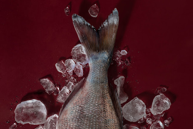 Pescadería EL ABRA Arraindegia - Gastronomía y hostelería