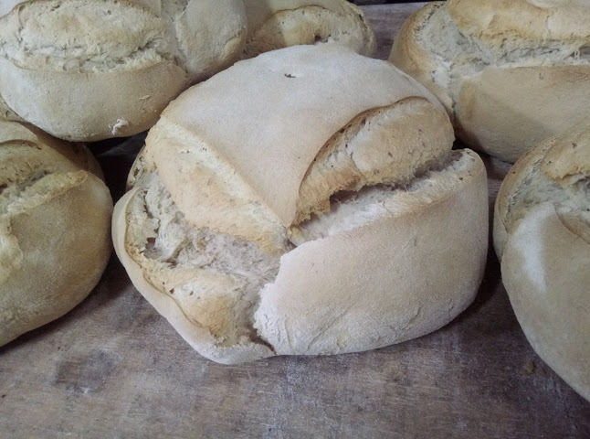 Panadería El Porvenir - Gastronomía y hostelería