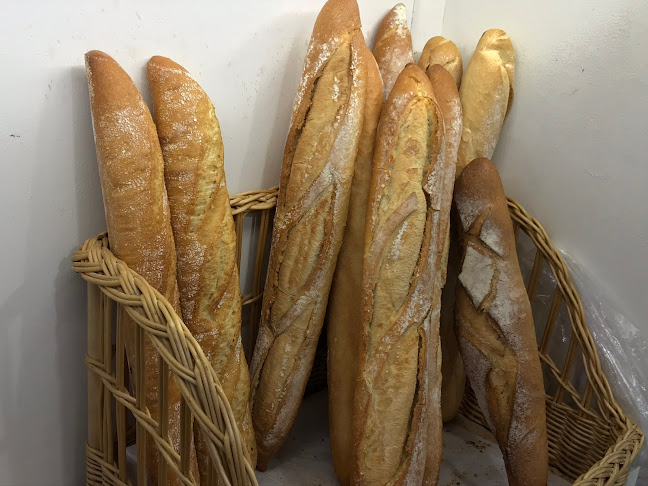 Comentarii opinii despre Fornet Nou Safir