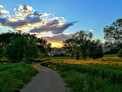 Alfonso Presas Casanovas