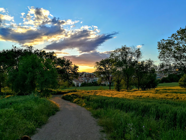 Alfonso Presas Casanovas