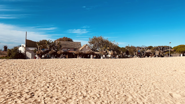 Comentarii opinii despre OHANA