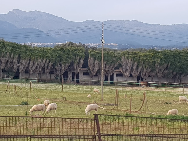 es mitja fondo Open Times