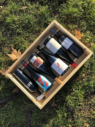 Vino con tino - Madrid