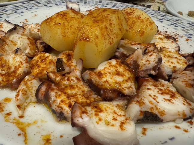 La Sirena Verde Open Times