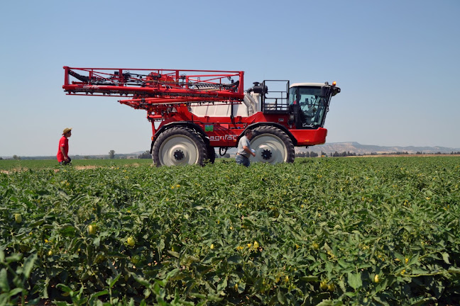 Opinii despre Bardenas Comercial SL în Tauste - Gastronomía y hostelería