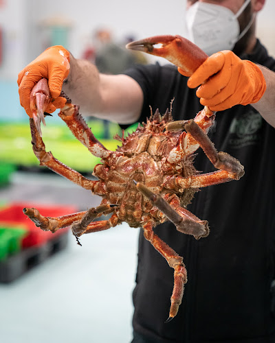 Reviews of Pescado y Marisco Gallego COYOMAR in Ribeira - Gastronomía y hostelería