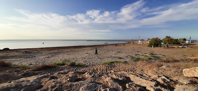 La Heladería del Puerto - Gastronomía y hostelería
