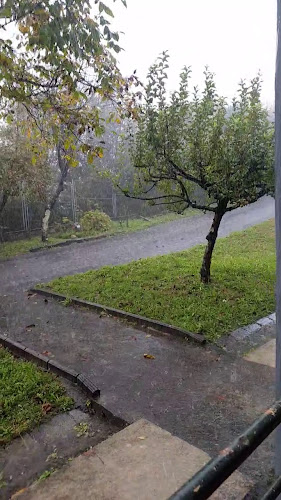 Restaurante Fidel en Sanxenxo - Sanxenxo