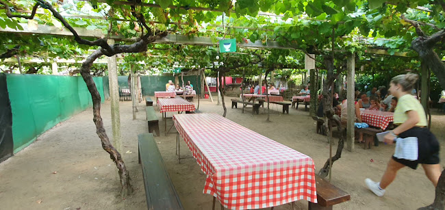 Comments and reviews of Furancho de Fermín