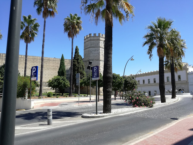 Alcazar Cafeteria Bar - Gastronomía y hostelería