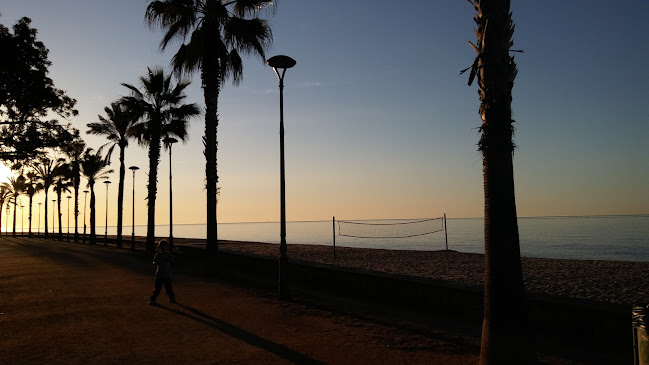 Bar Musical Olas - Canet de Mar