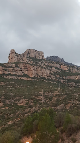 Comentarii opinii despre Vila Vallbona