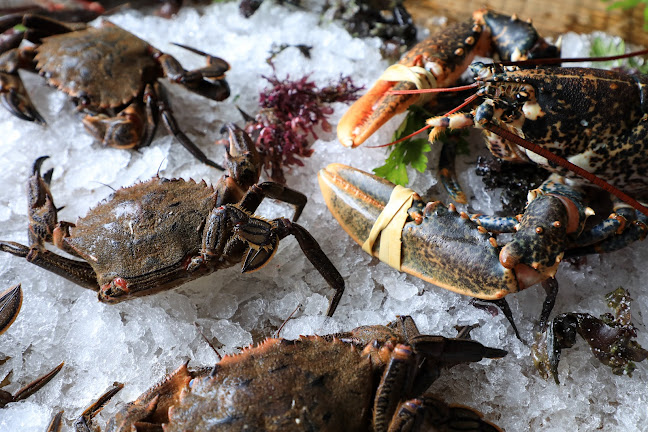 Restaurante La Bodeguilla Lanciego
