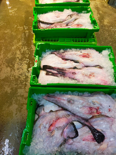 El Peix grup peixos joanmi Phone number